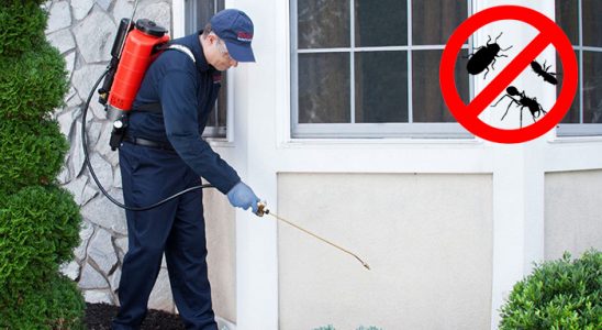 Uğurludağ Böcek ve Haşere İlaçlama böcek ilaçlama ve haşere kontrolü — ilaclama-tr.com